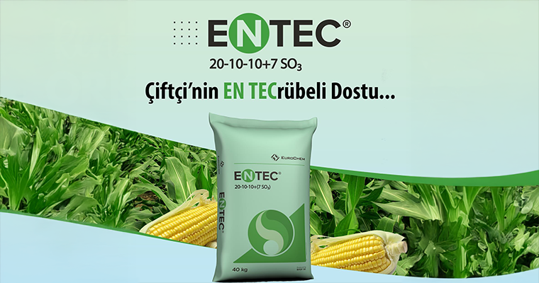 Entec 