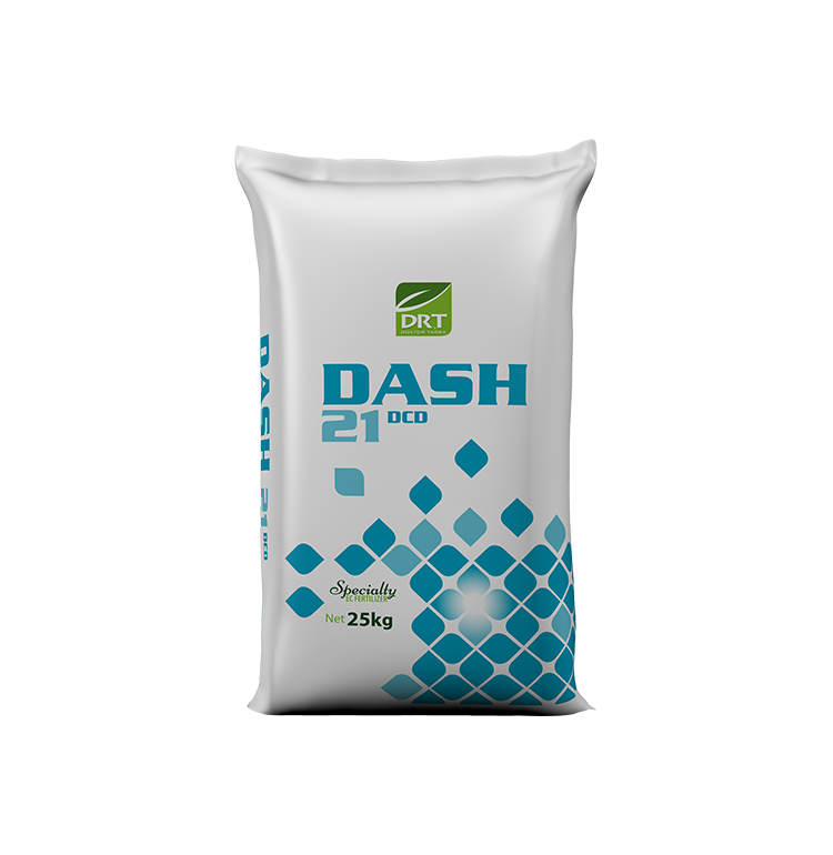 Dash 21
